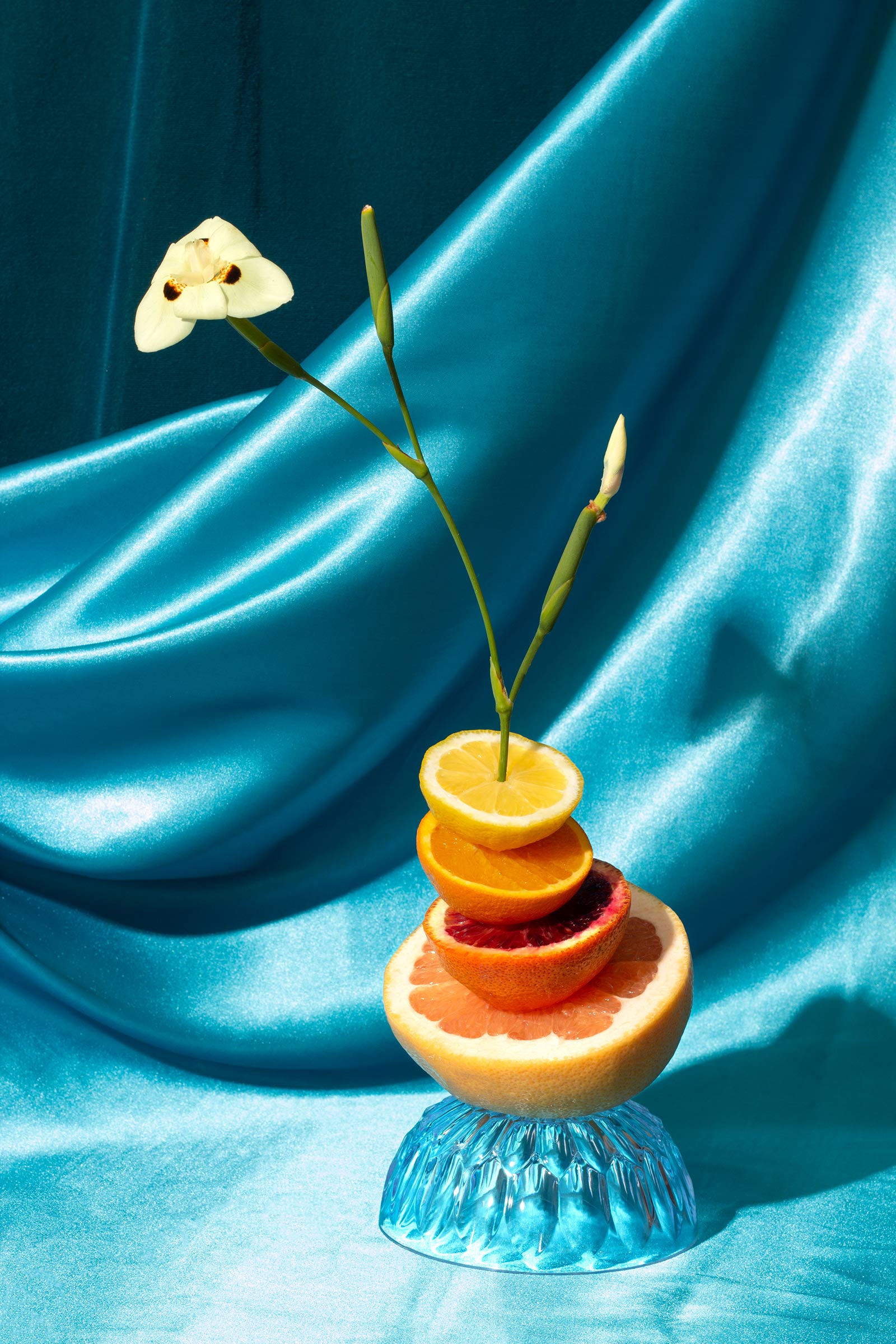 Fruit-Flowers_Iris