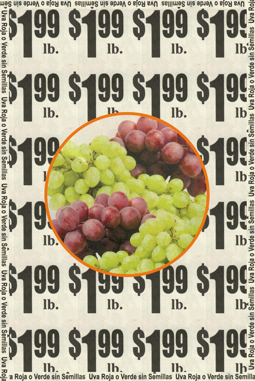 Grapes-199lb_100121