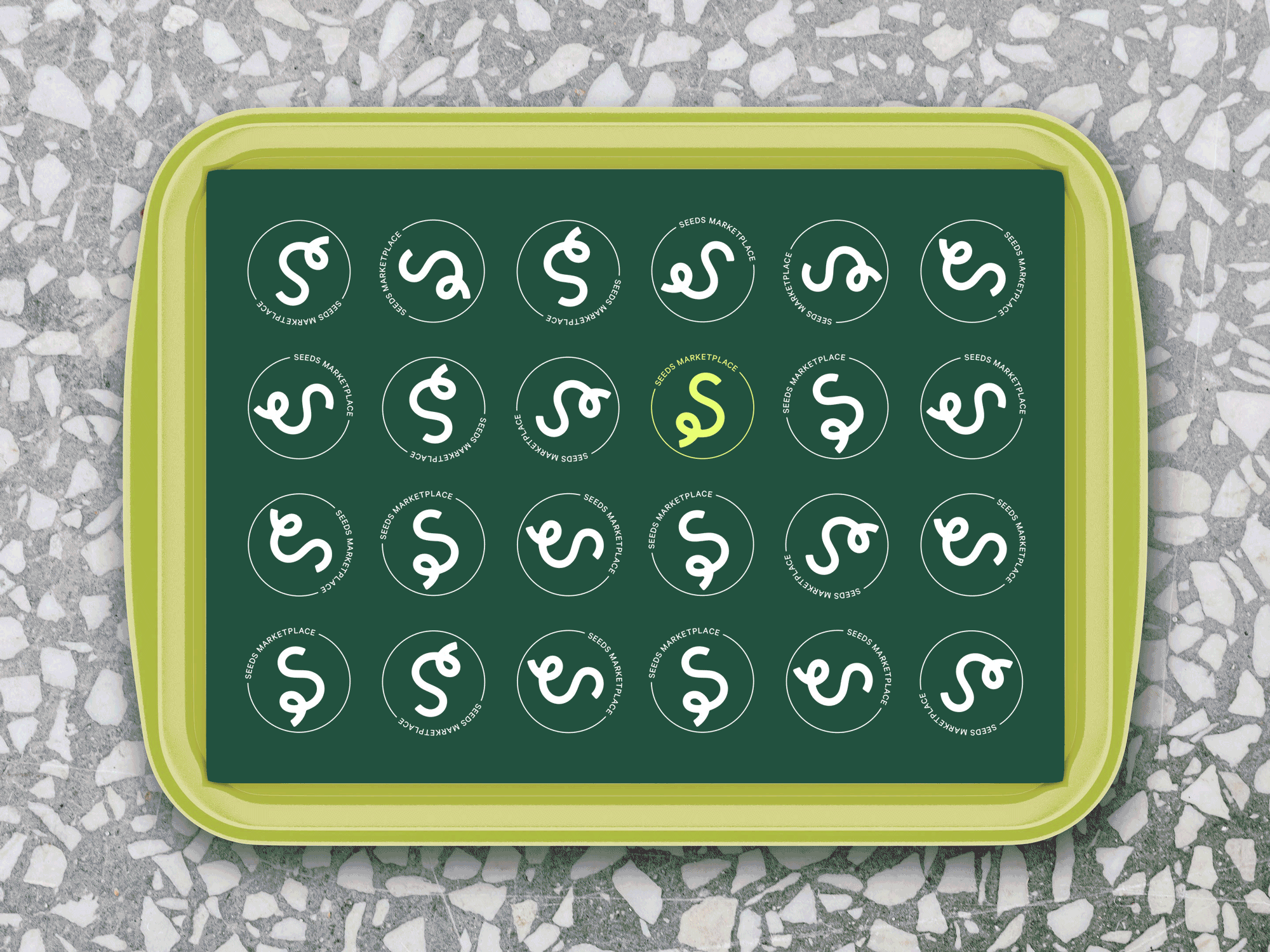 Seeds_Tray_Mockup_Cycle